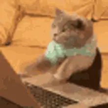 A cat typing away at a computer.